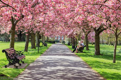  Baicheng City Botanical Garden: Kukkaisen luonnon ja rauhoittavan hiljaisuuden ylistys!