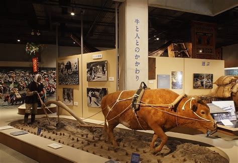  Karamay City Museum: Tutustu Kiinan historiaan ja öljyteollisuuden alkuaikoihin!